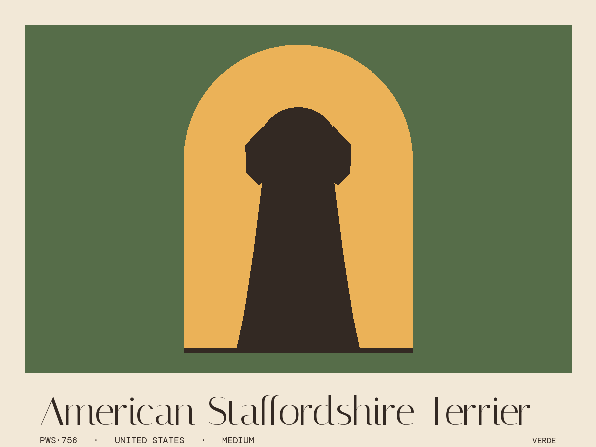 American Staffordshire Terrier