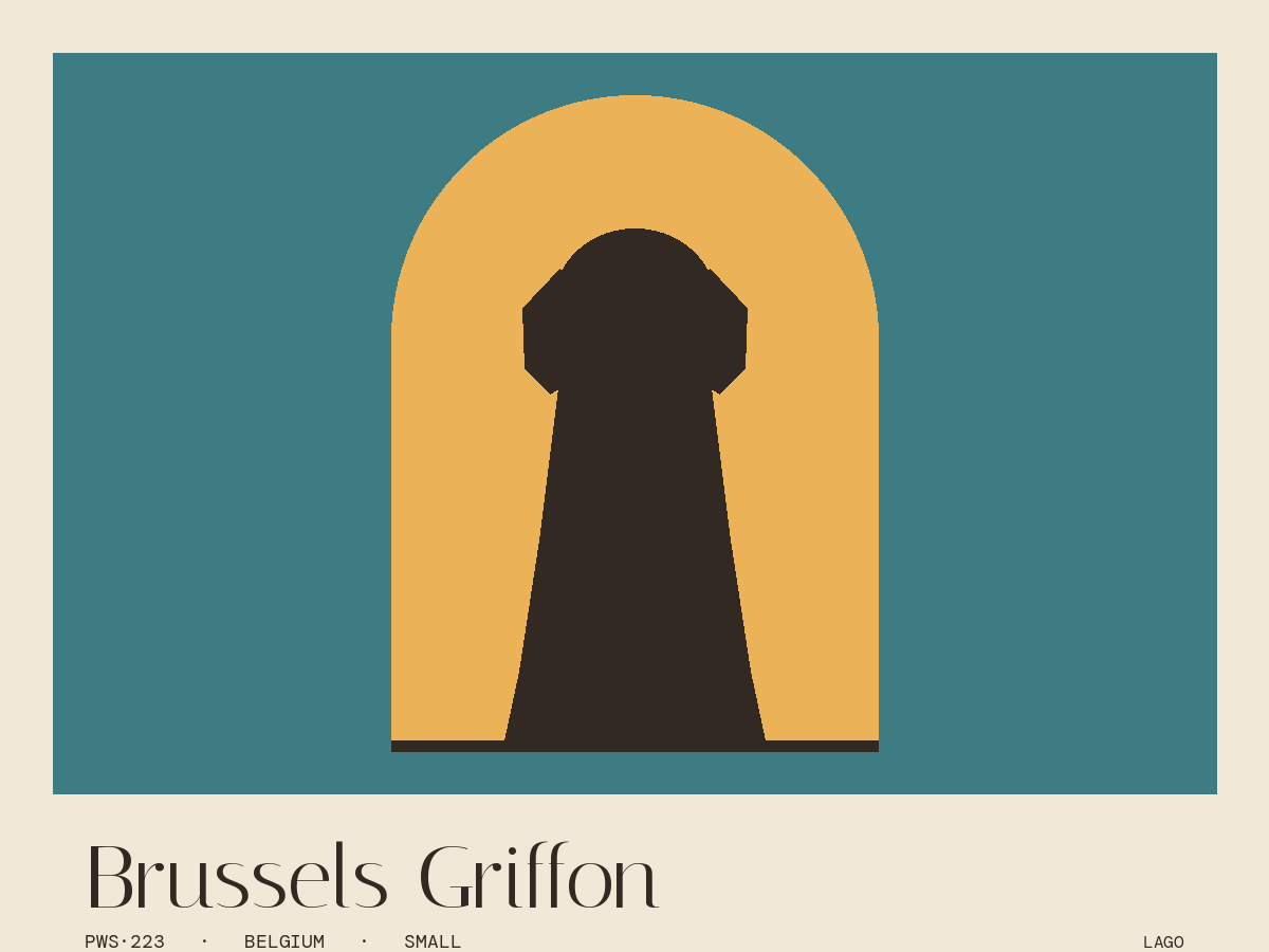 Brussels Griffon