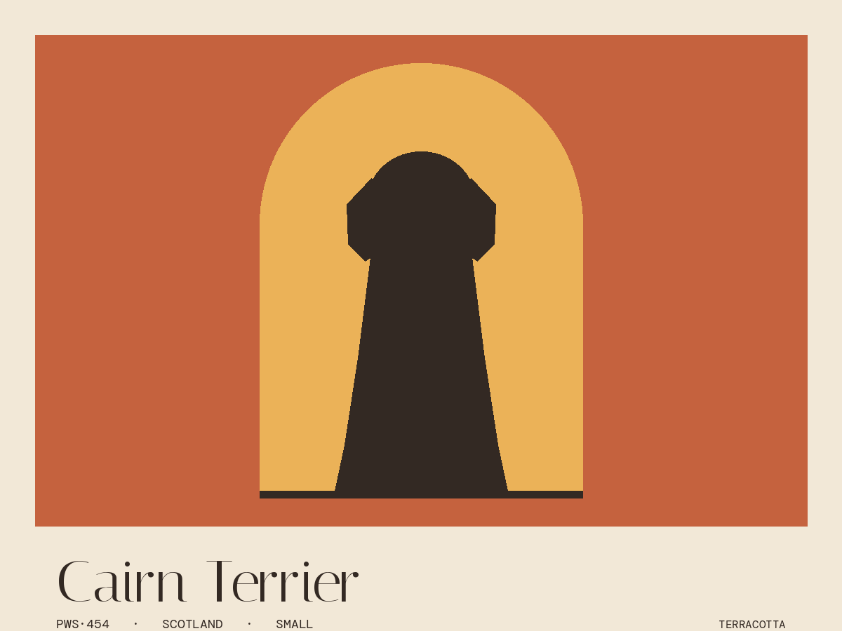 Cairn Terrier