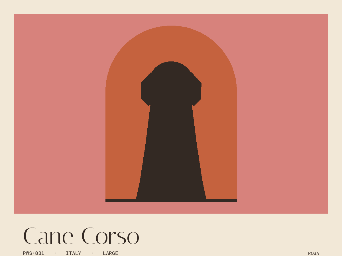 Cane Corso