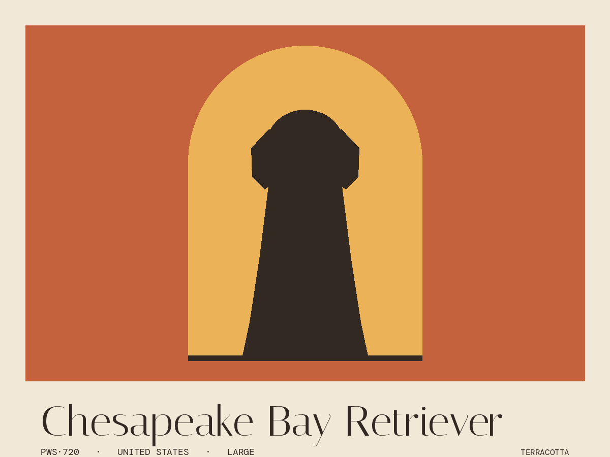 Chesapeake Bay Retriever
