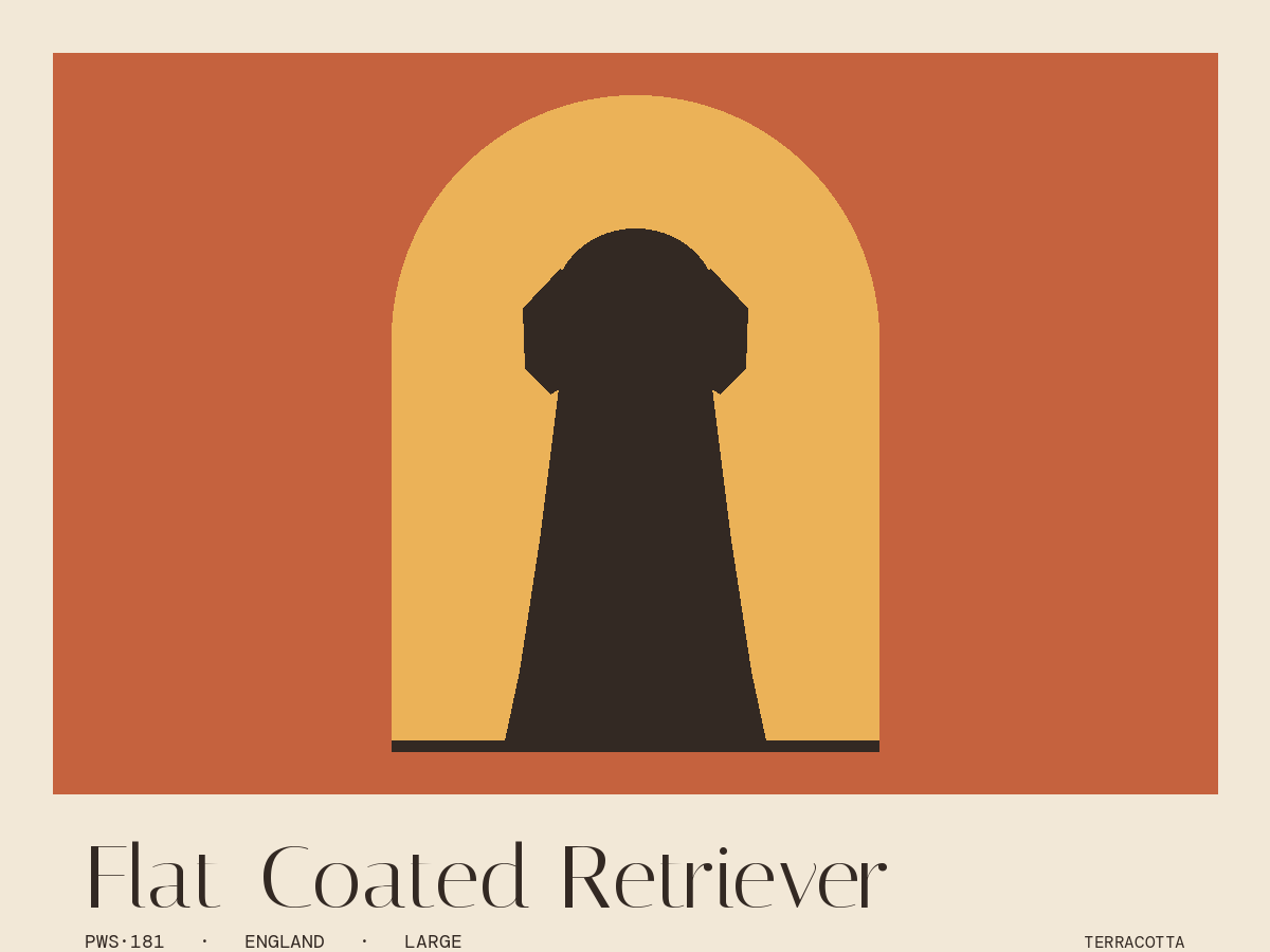 Flat-Coated Retriever