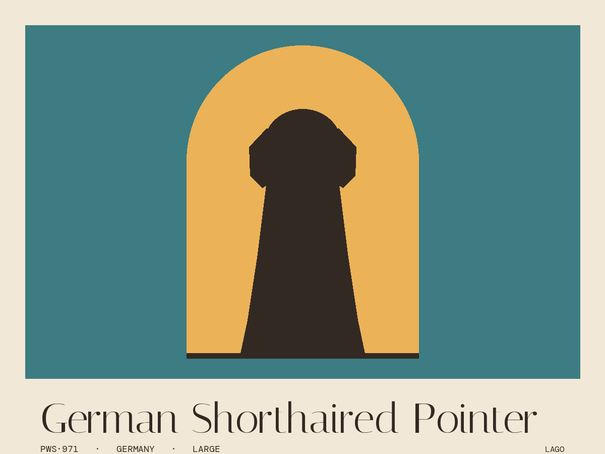 German Shorthaired Pointer