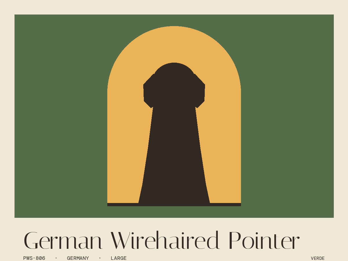 German Wirehaired Pointer