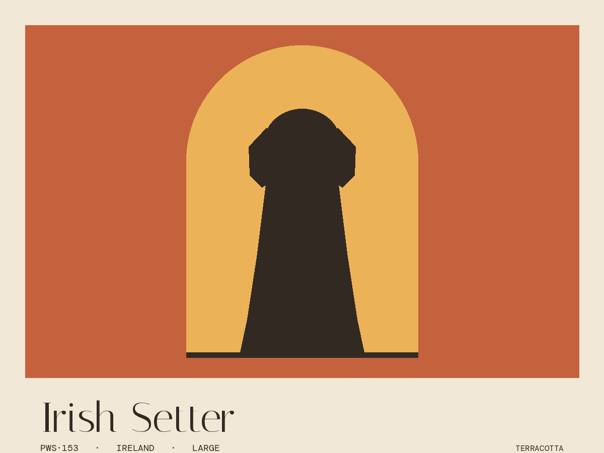 Irish Setter