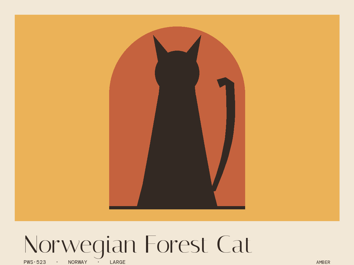 Norwegian Forest Cat