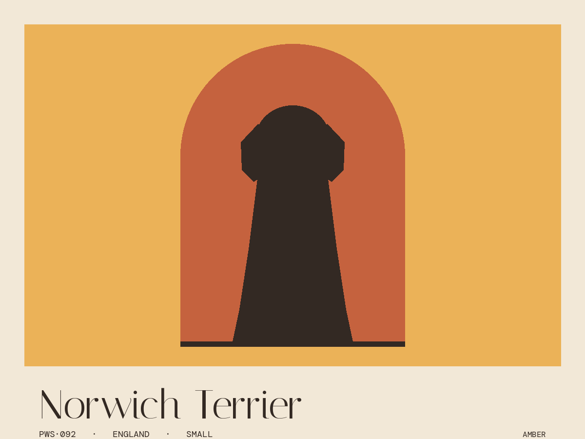Norwich Terrier