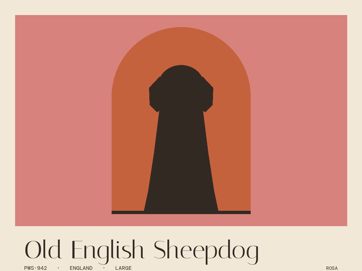 Old English Sheepdog