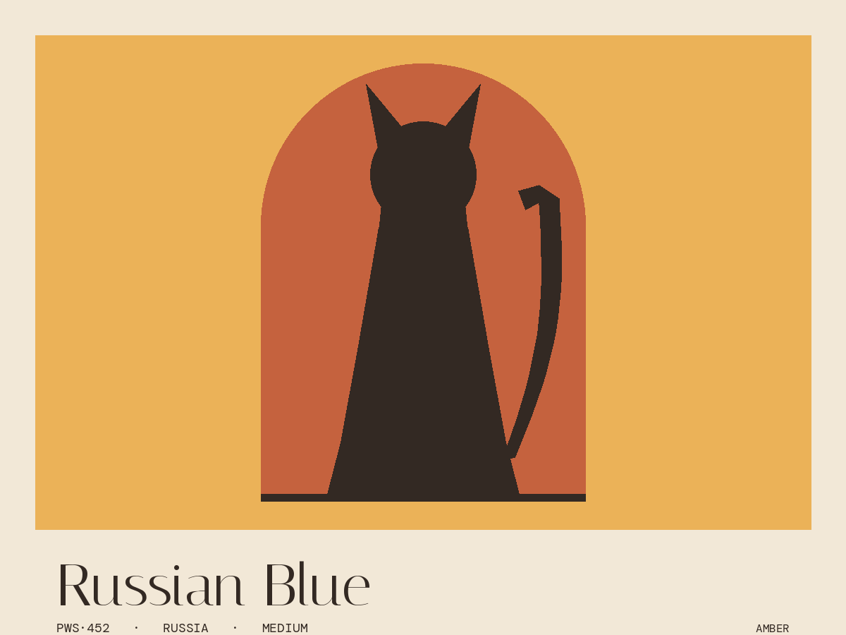 Russian Blue
