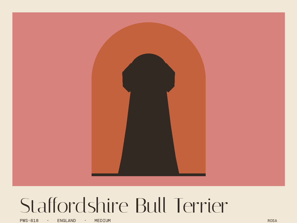 Staffordshire Bull Terrier